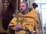 В Александро-Невской лавре состоялась праздничная служба православных трезвенников и молитвенное шествие