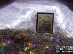 Фотогалерея «Как мы готовились к Рождеству Христову в Саперном»